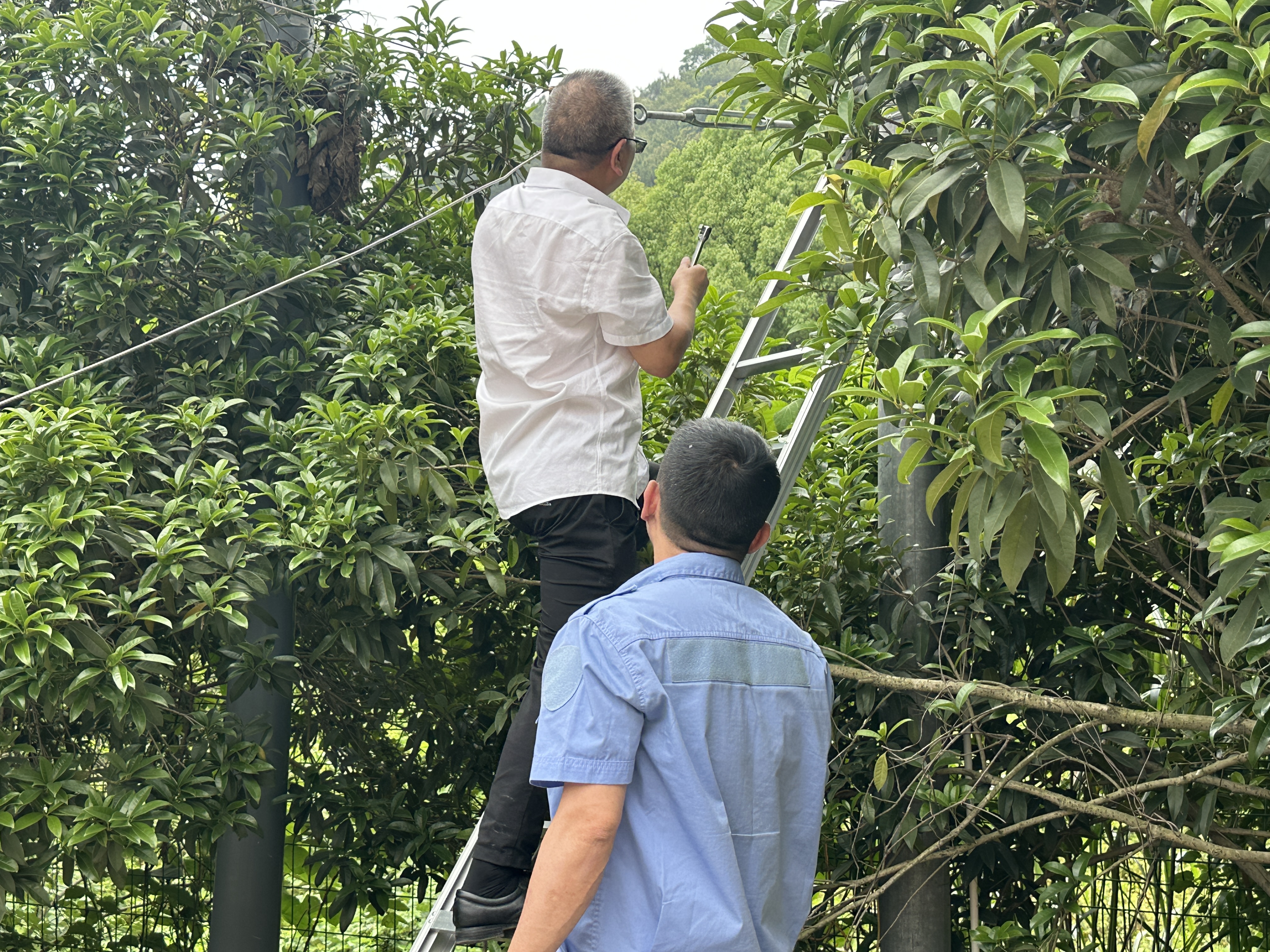 1746775159911122.jpg eb9b1123467a2fdc034773549c4db68.jpg